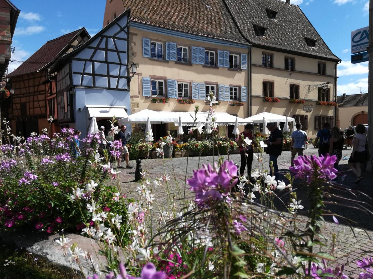 Gîte au château fleuri Eguisheim Exterior foto