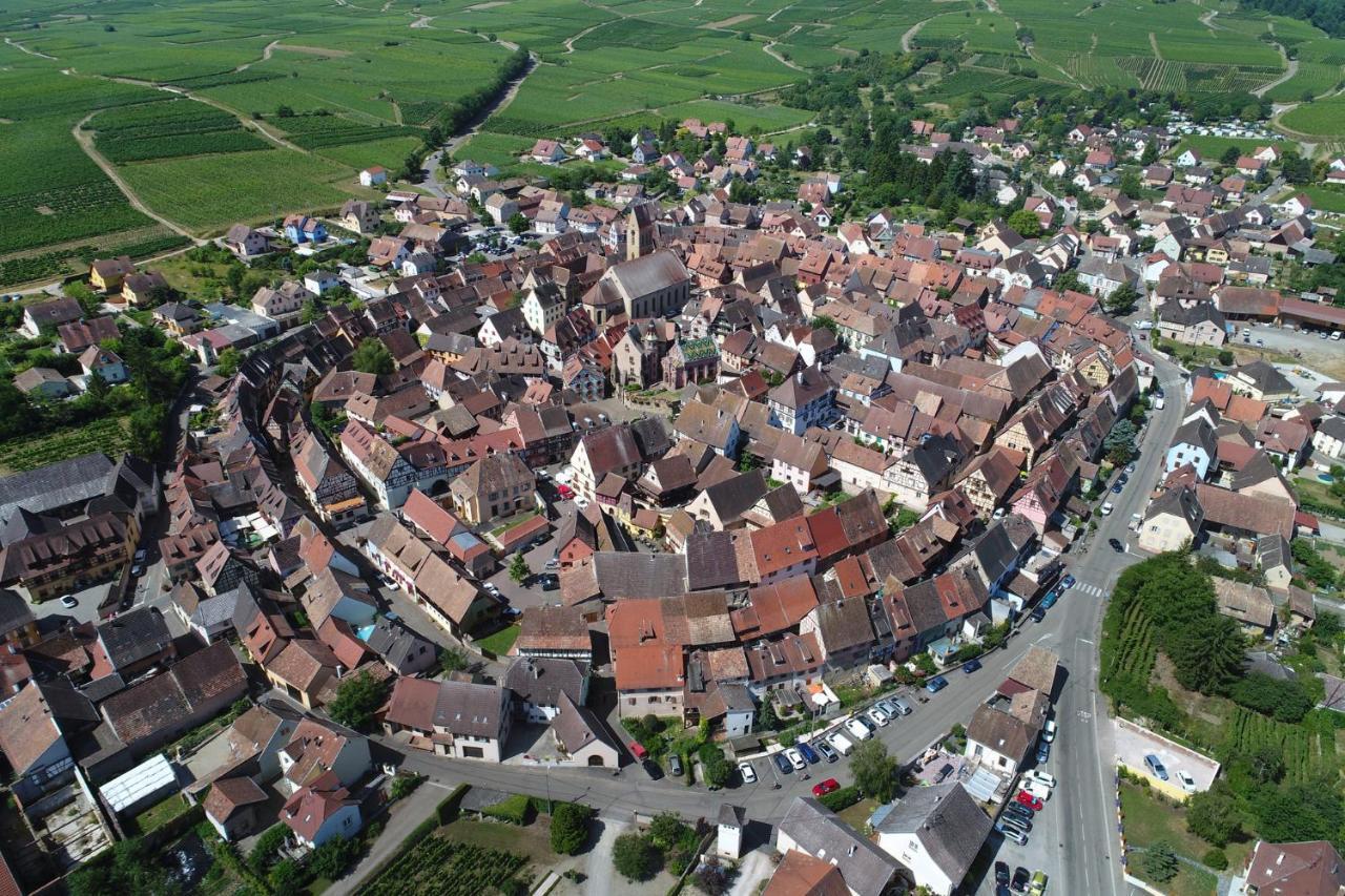Gîte au château fleuri Eguisheim Quarto foto