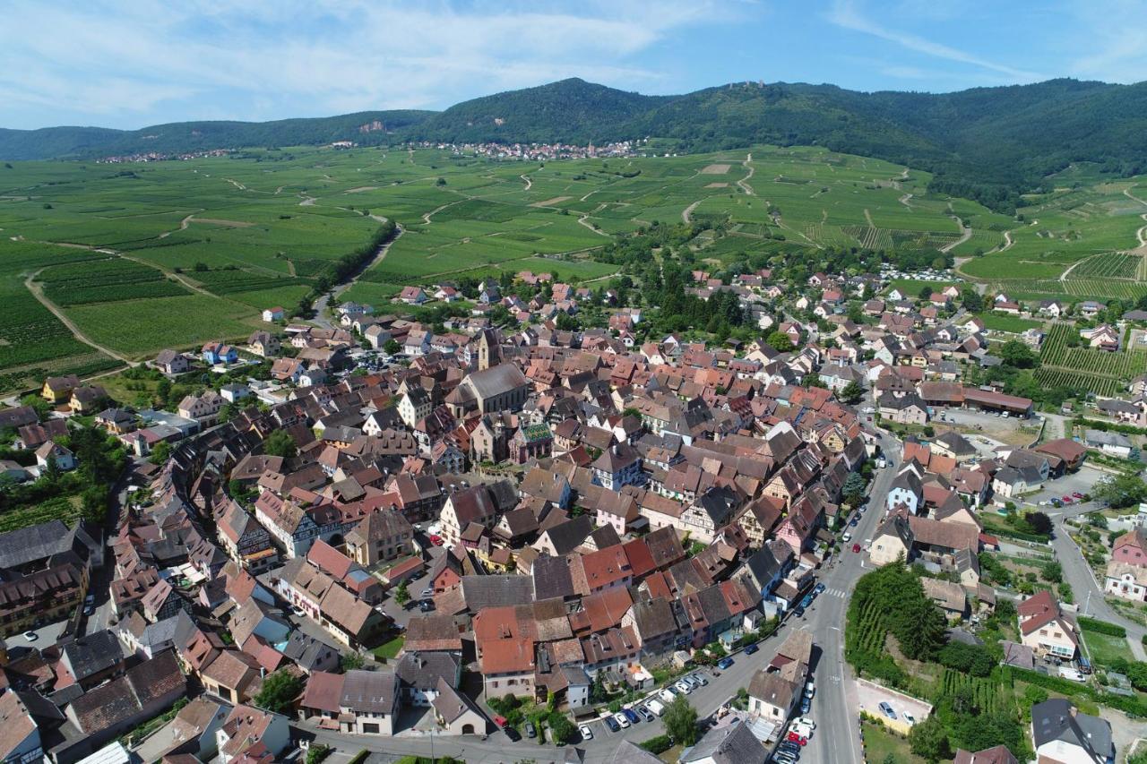 Gîte au château fleuri Eguisheim Quarto foto