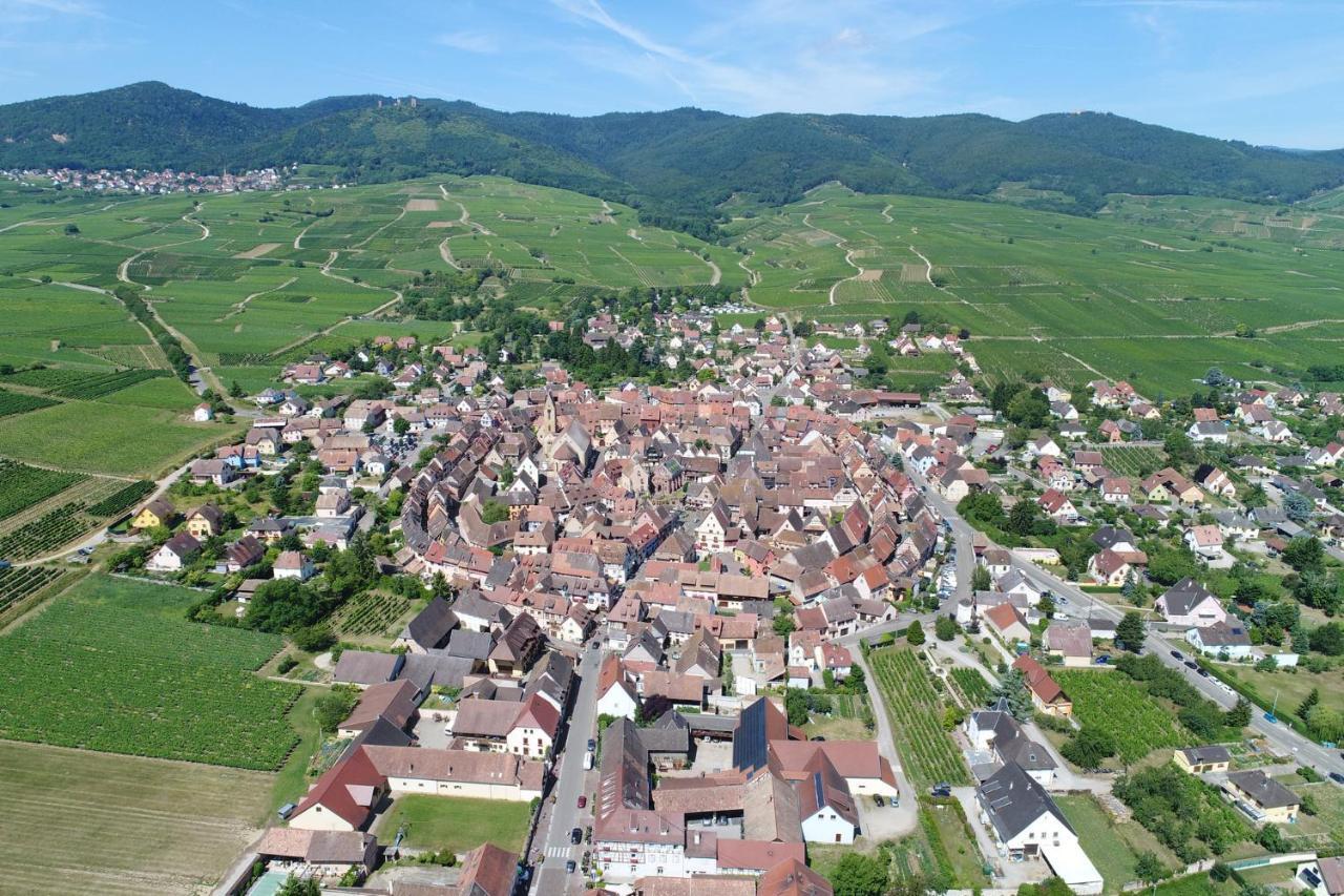 Gîte au château fleuri Eguisheim Quarto foto